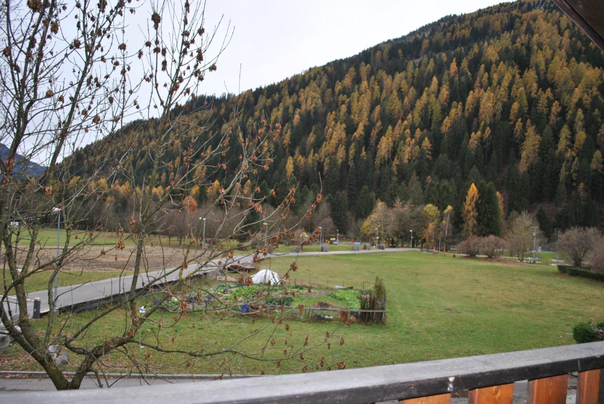 La Pineta - Appartamenti In Villetta Pinzolo Zewnętrze zdjęcie