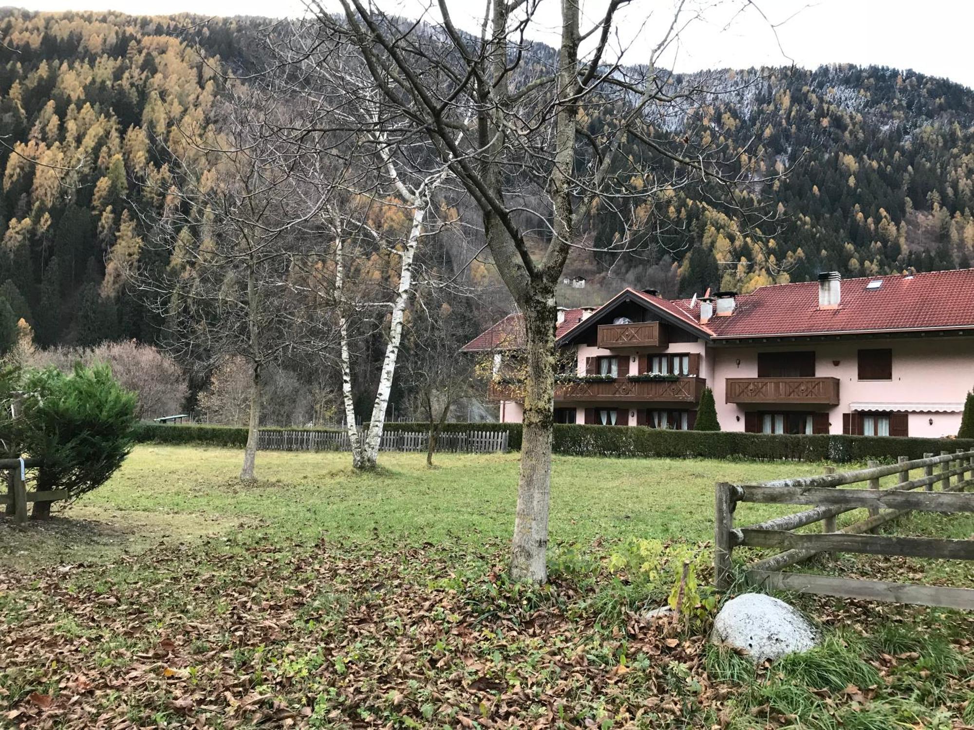 La Pineta - Appartamenti In Villetta Pinzolo Zewnętrze zdjęcie